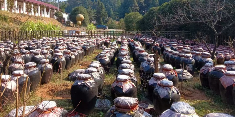 釀造基地